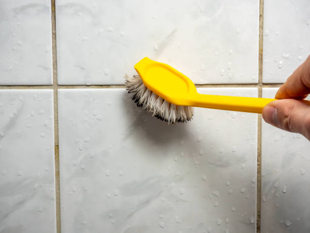 Best Black Mold Removal  in Hinsdale, IL