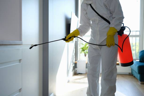 Certified Mold Removal in Hinsdale, IL